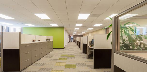 An open office space furnished with plants, grey furniture and a bright green accept wall extends into the distance were a lone professional stands at a window
